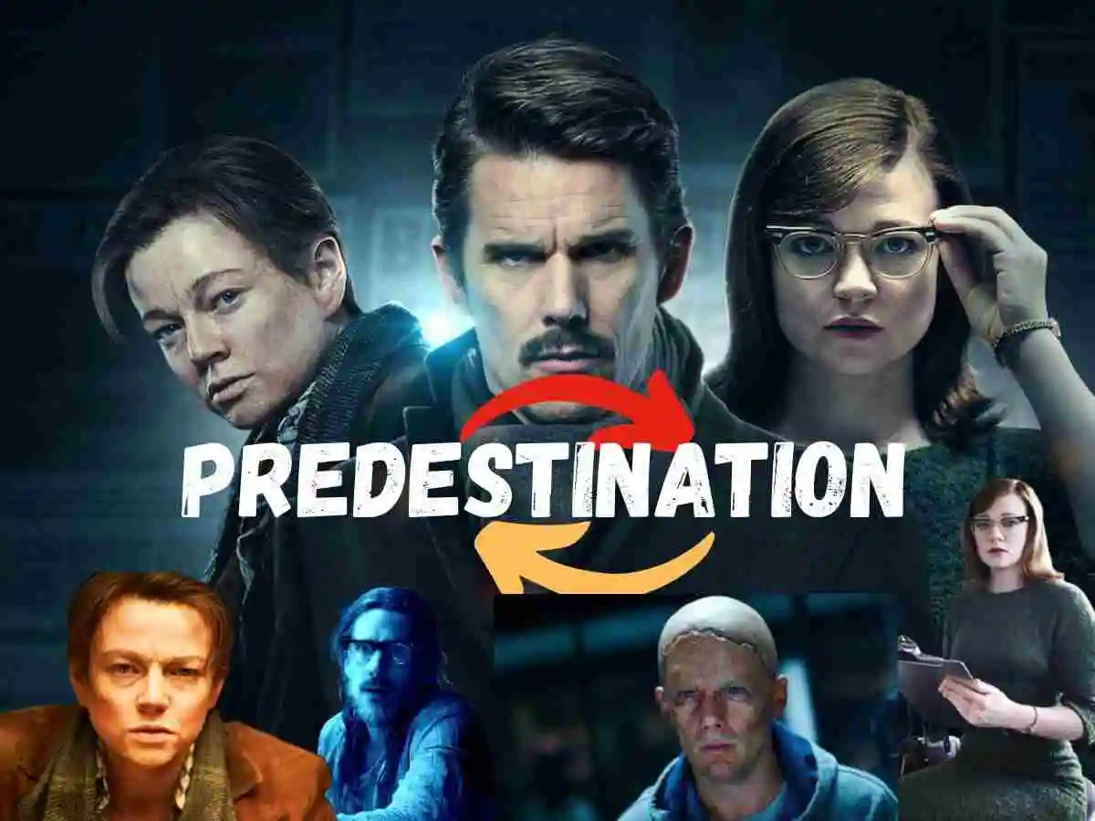 Predestination (2014)