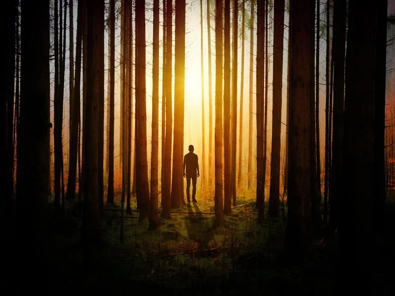 Psychological thriller Movie image from movie revelations